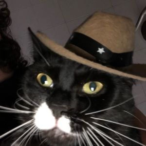 Meet your Posher, Cash